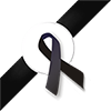 IPAC Ribbon